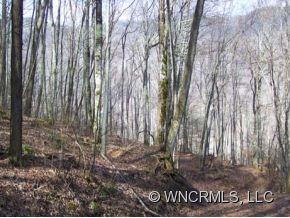 9 Chestnut Flats Road, Unit 9 Waynesville, NC 28786 - Photo 12 of 14 Gallery Image 12