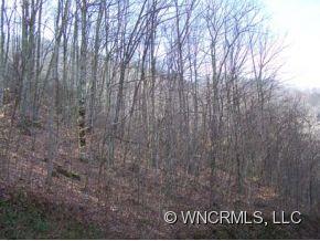9 Chestnut Flats Road, Unit 9 Waynesville, NC 28786 - Photo 3 of 14 Gallery Image 3