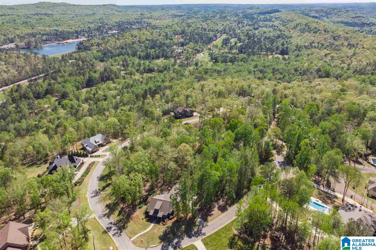 1130 Stagg Run Trail Pelham, AL 35124 - Photo 48 of 50