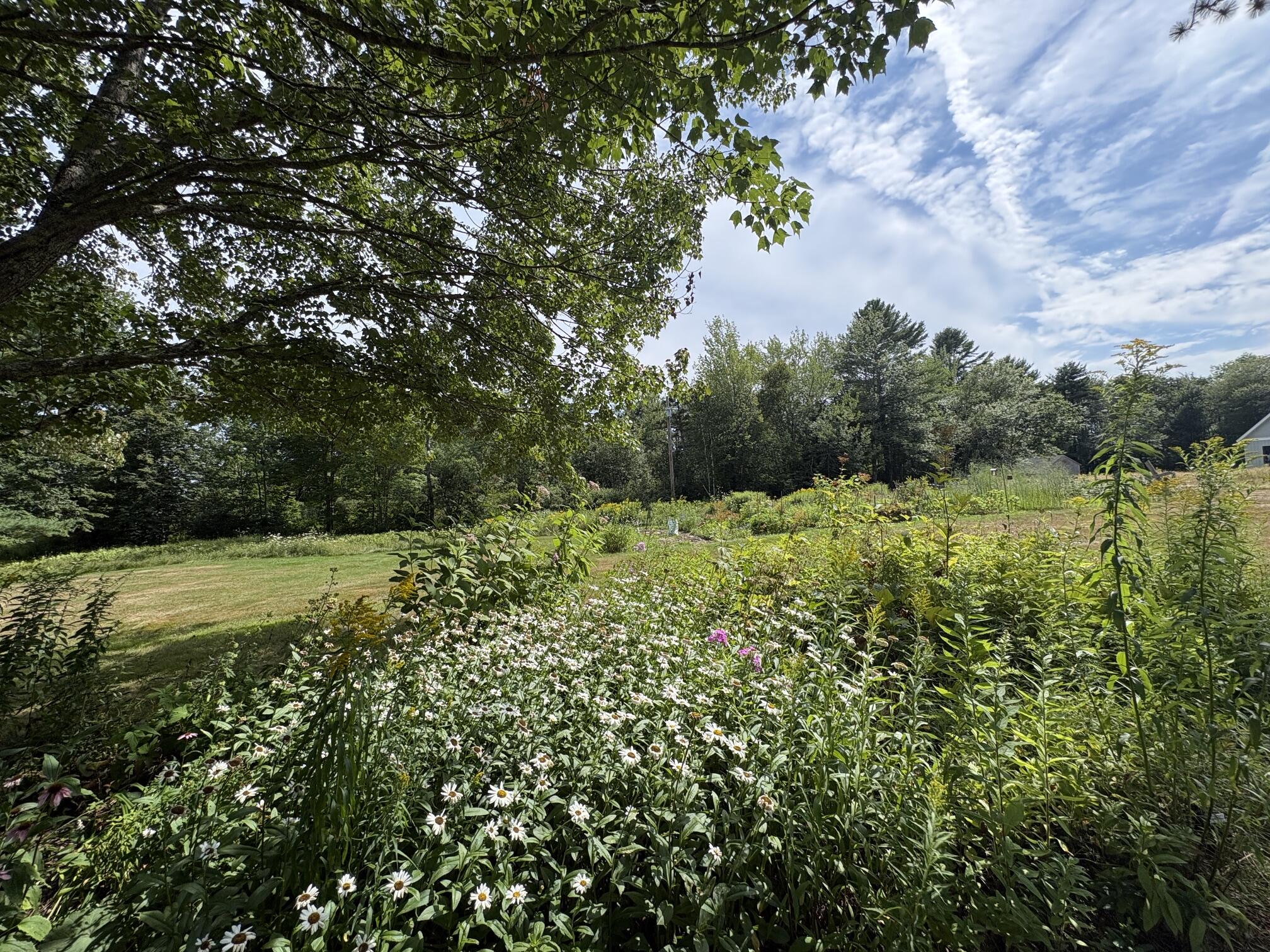 2589 Friendship Road Waldoboro, ME 04572 - Photo 35 of 36 IMG_8239