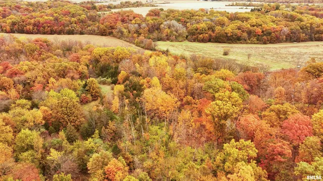 $875,000 | 16491 South Wieland Road, Glasford, IL 61533