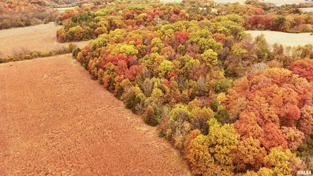 $875,000 | 16491 South Wieland Road, Glasford, IL 61533