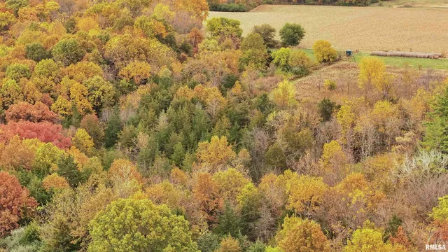 $875,000 | 16491 South Wieland Road, Glasford, IL 61533