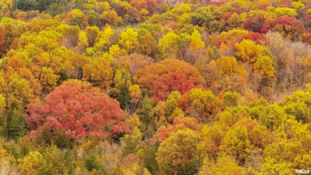 $875,000 | 16491 South Wieland Road, Glasford, IL 61533