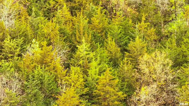 $875,000 | 16491 South Wieland Road, Glasford, IL 61533