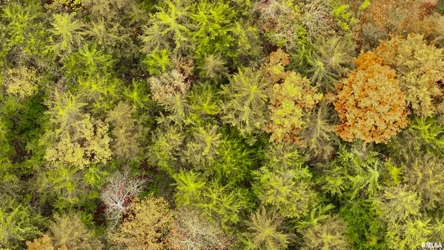 $875,000 | 16491 South Wieland Road, Glasford, IL 61533