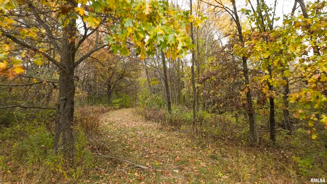 $875,000 | 16491 South Wieland Road, Glasford, IL 61533