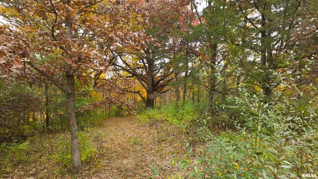 $875,000 | 16491 South Wieland Road, Glasford, IL 61533