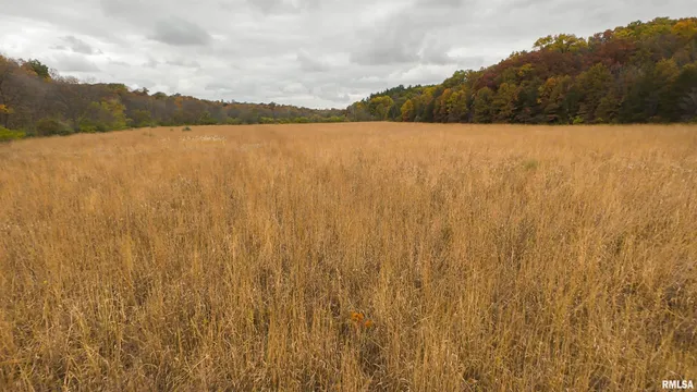 $875,000 | 16491 South Wieland Road, Glasford, IL 61533