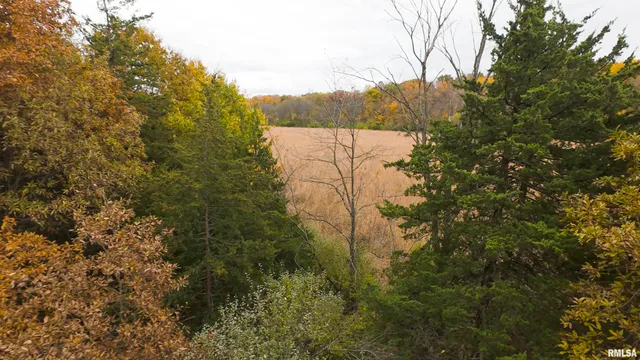 $875,000 | 16491 South Wieland Road, Glasford, IL 61533