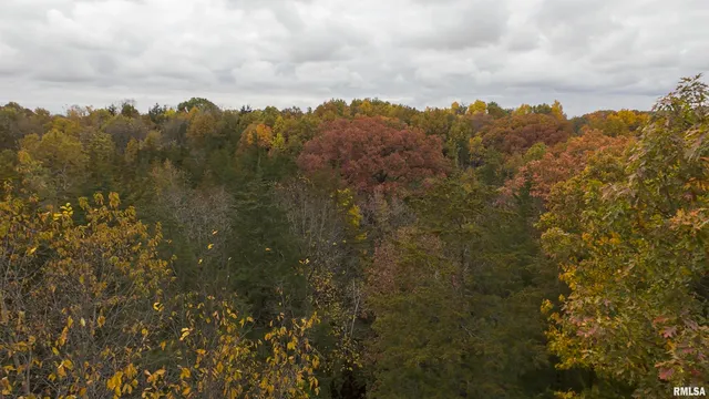 $875,000 | 16491 South Wieland Road, Glasford, IL 61533