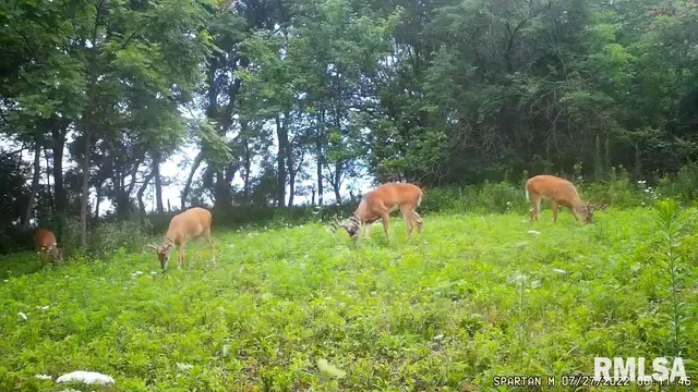 $875,000 | 16491 South Wieland Road, Glasford, IL 61533