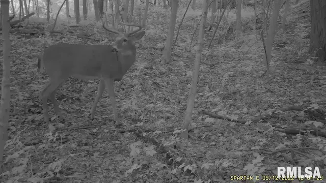 $875,000 | 16491 South Wieland Road, Glasford, IL 61533