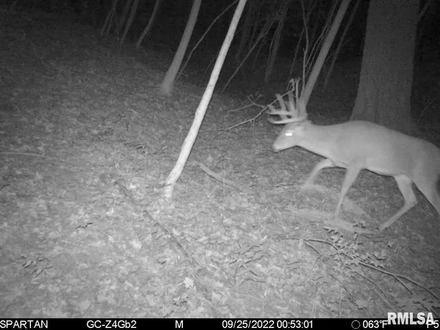 $875,000 | 16491 South Wieland Road, Glasford, IL 61533