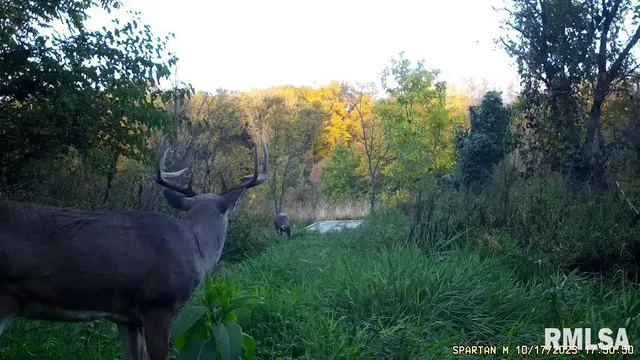 $875,000 | 16491 South Wieland Road, Glasford, IL 61533