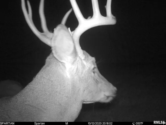 $875,000 | 16491 South Wieland Road, Glasford, IL 61533