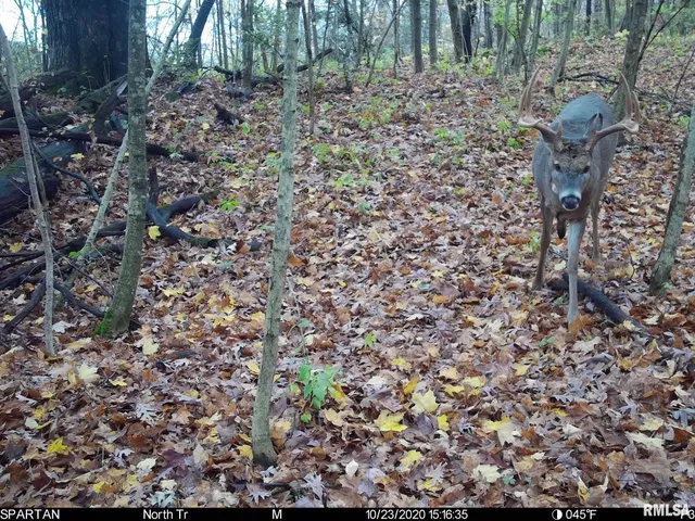 $875,000 | 16491 South Wieland Road, Glasford, IL 61533