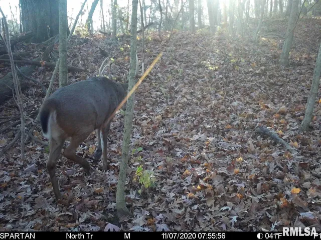 $875,000 | 16491 South Wieland Road, Glasford, IL 61533