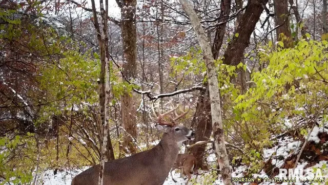 $875,000 | 16491 South Wieland Road, Glasford, IL 61533