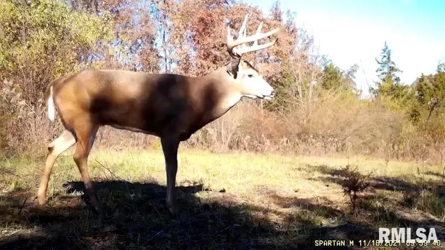 $875,000 | 16491 South Wieland Road, Glasford, IL 61533