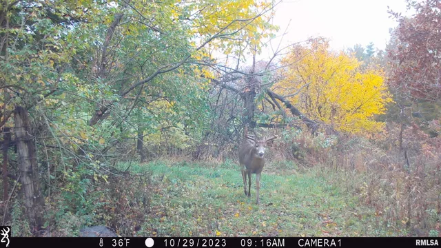 $875,000 | 16491 South Wieland Road, Glasford, IL 61533