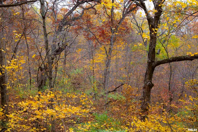 $875,000 | 16491 South Wieland Road, Glasford, IL 61533