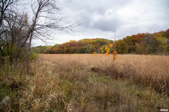 $875,000 | 16491 South Wieland Road, Glasford, IL 61533