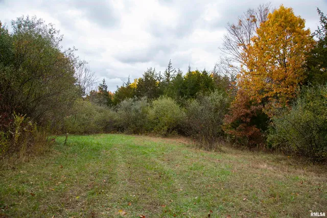 $875,000 | 16491 South Wieland Road, Glasford, IL 61533