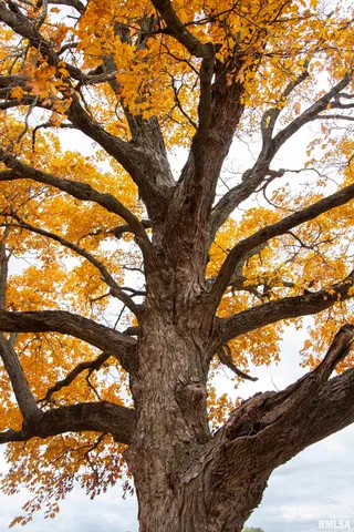 $875,000 | 16491 South Wieland Road, Glasford, IL 61533