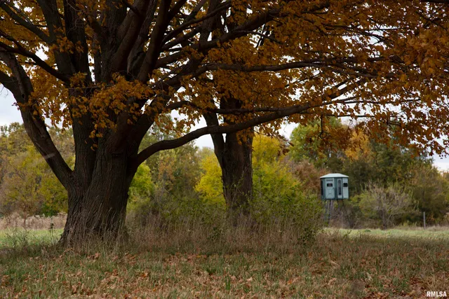 $875,000 | 16491 South Wieland Road, Glasford, IL 61533