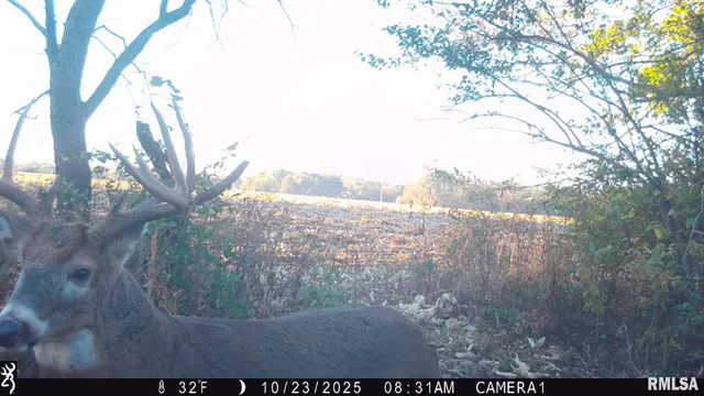 $875,000 | 16491 South Wieland Road, Glasford, IL 61533