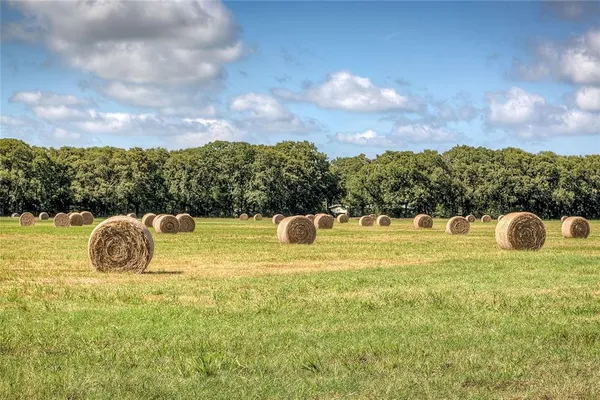 $649,999 | 3812 County Road 120, Wills Point, TX 75169