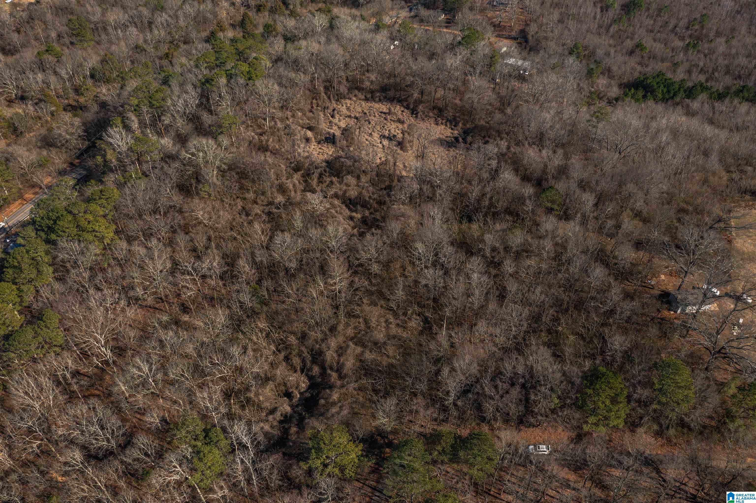 4392 Buzbee Road, Unit 1 Pinson, AL 35126 - Photo 24 of 27