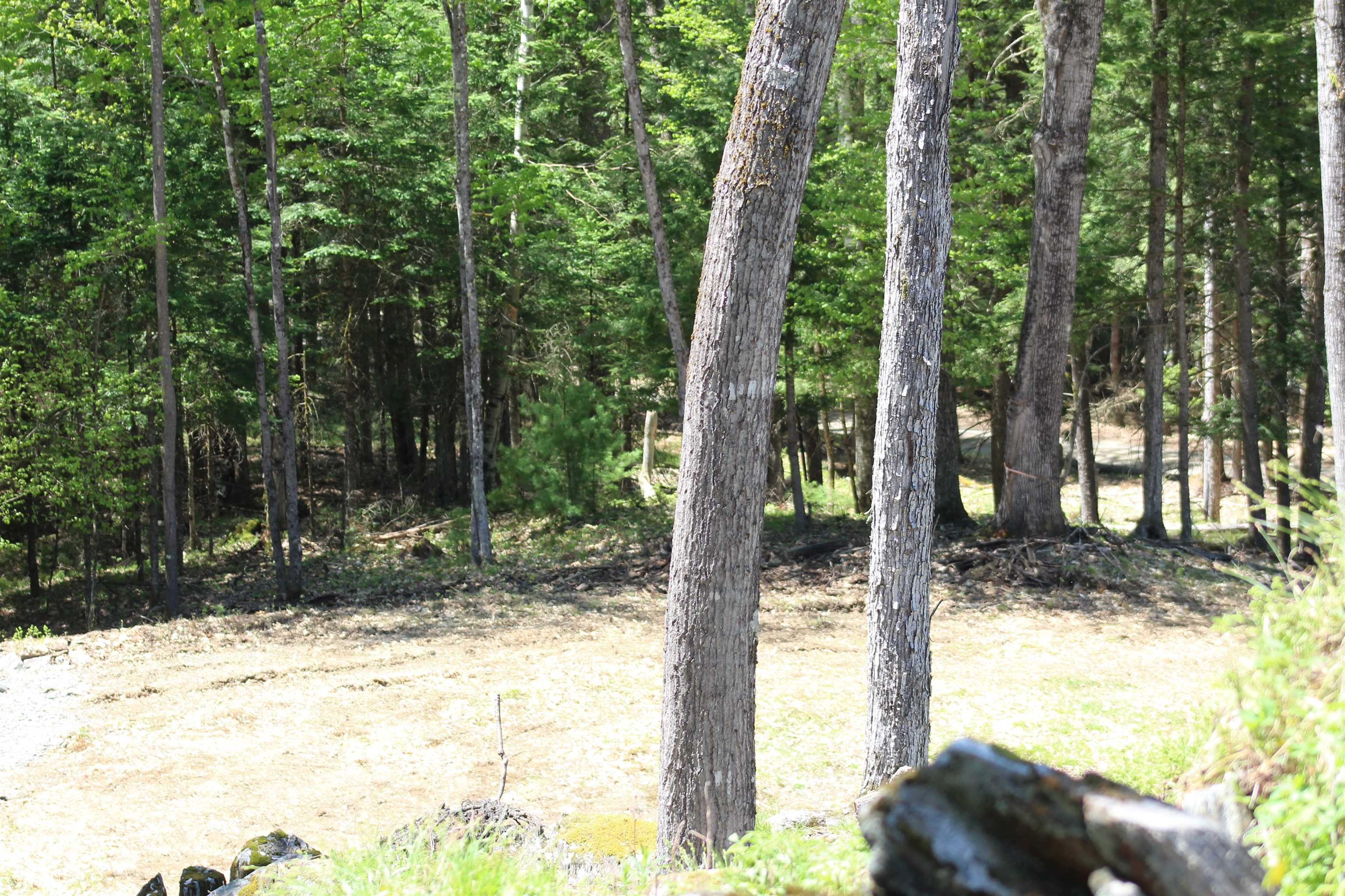 Lot 23-24 Wetherbee Road Lyman, NH 03585 - Photo 2 of 54
