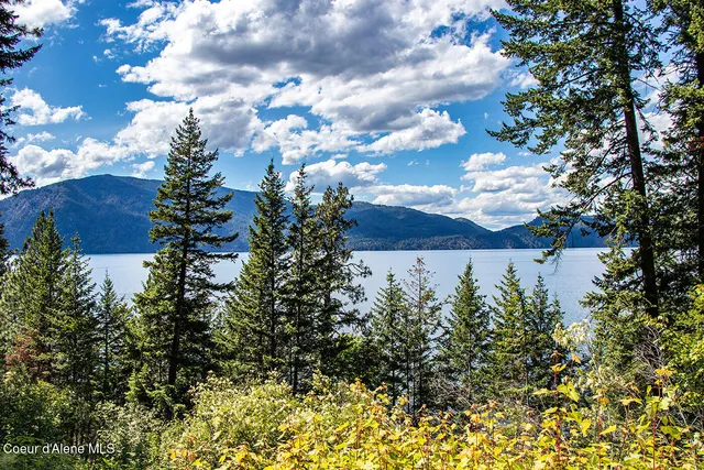 $625,000 | 812 Pine Cove Road, Clark Fork, ID 83811