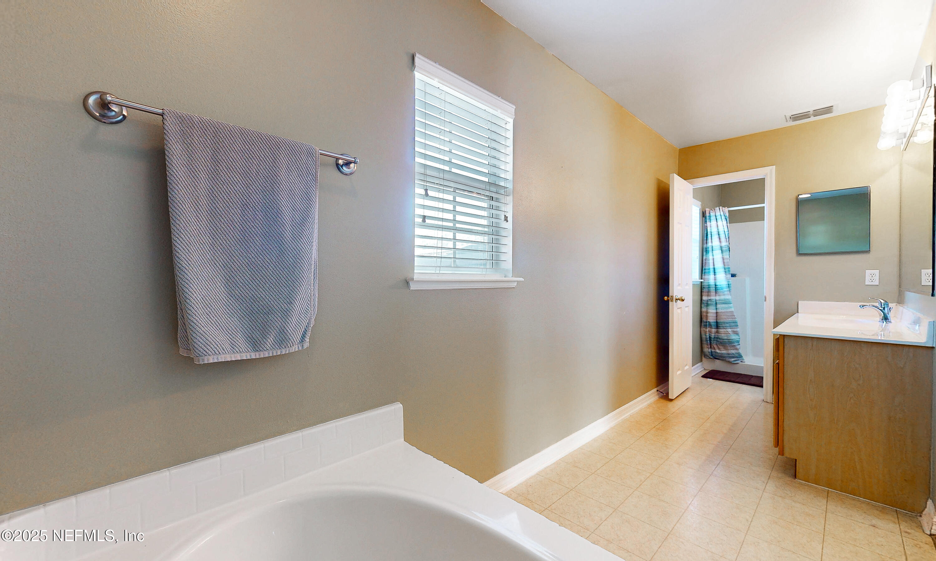 3031 Valkyrie Road Middleburg, FL 32068 - Photo 16 of 36 a bathroom with a tub sink and mirror