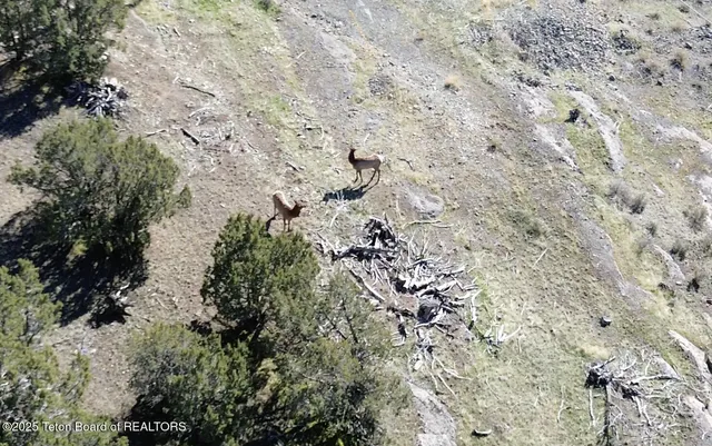 $12,500,000 | 30236 South Us Highway, Swan Lake, ID 83281