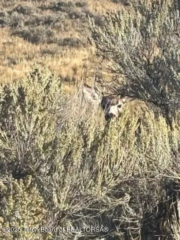 $12,500,000 | 30236 South Us Highway, Swan Lake, ID 83281