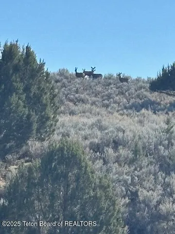 $12,500,000 | 30236 South Us Highway, Swan Lake, ID 83281