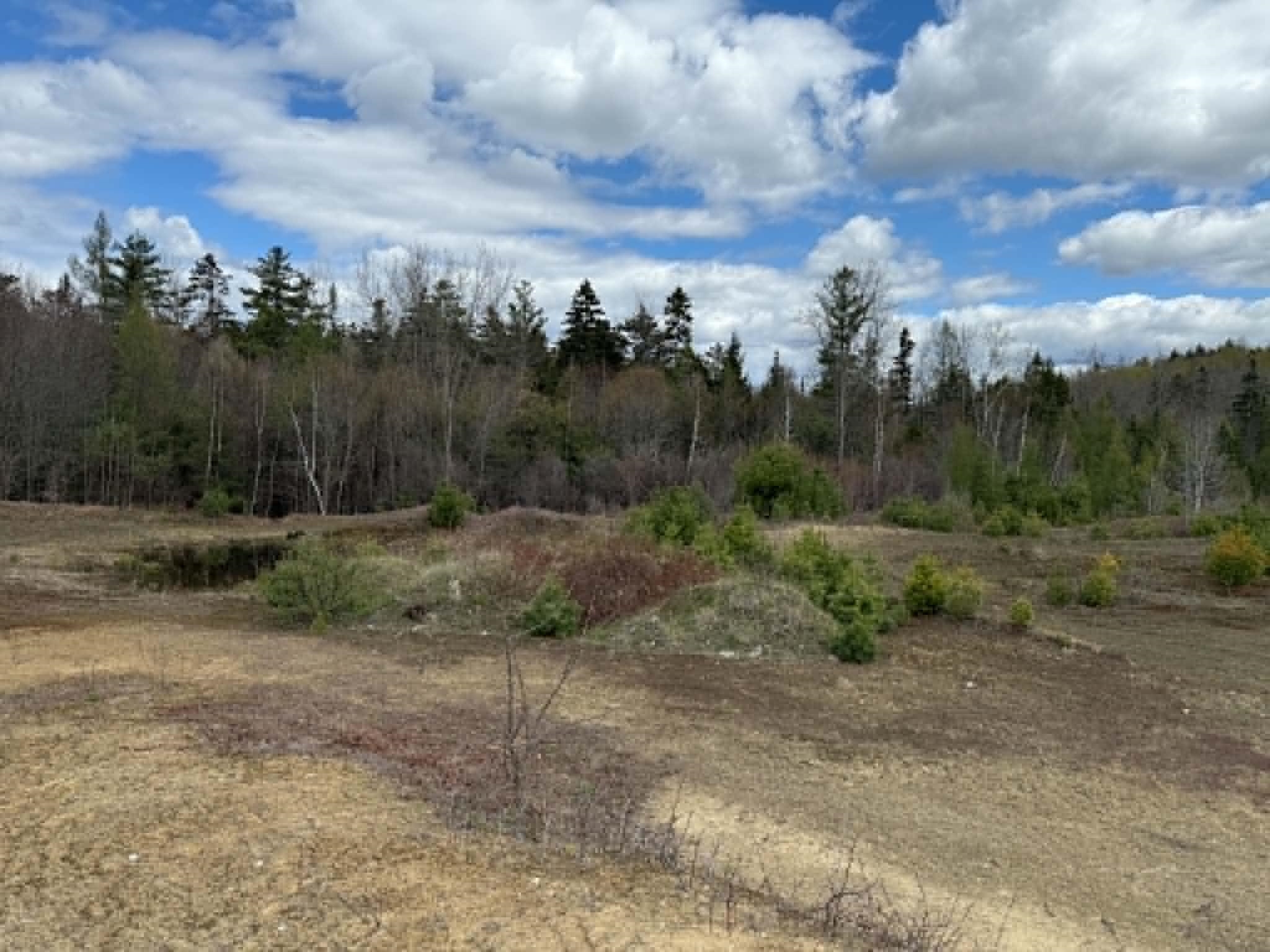 Lot 7 Bog Road Enfield, NH 03748 - Photo 4 of 5 Gallery Image 4