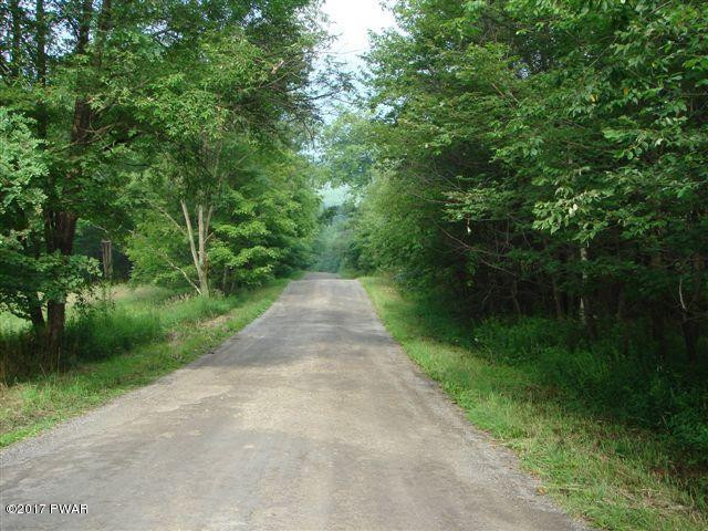255 North Smith Road Waymart, PA 18472 - Photo 2 of 8