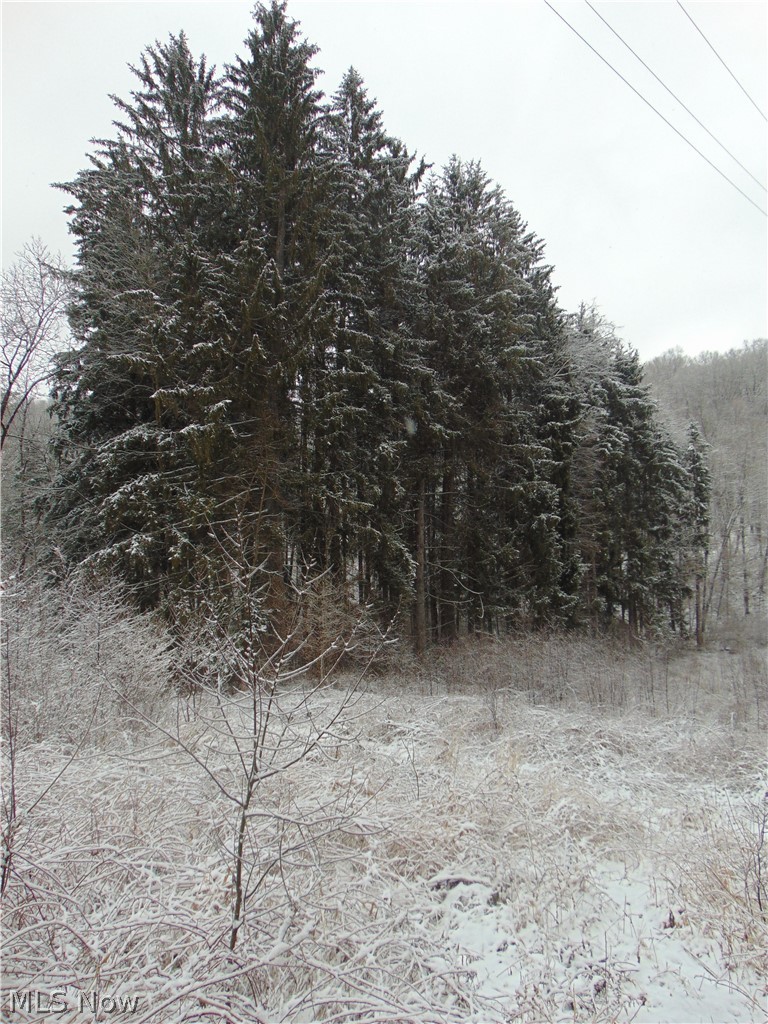 Allen Rd Mount Mount Vernon, OH 43050 - Photo 11 of 24