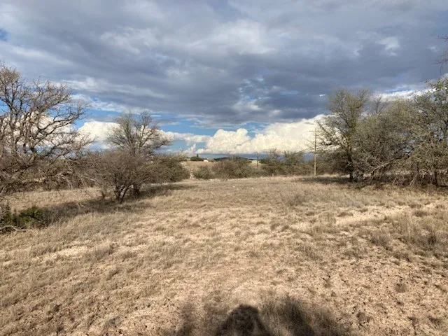 $117,300 | 101 Clear View Drive, Fort Davis, TX 79734