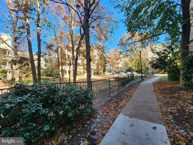 a view of park with large trees