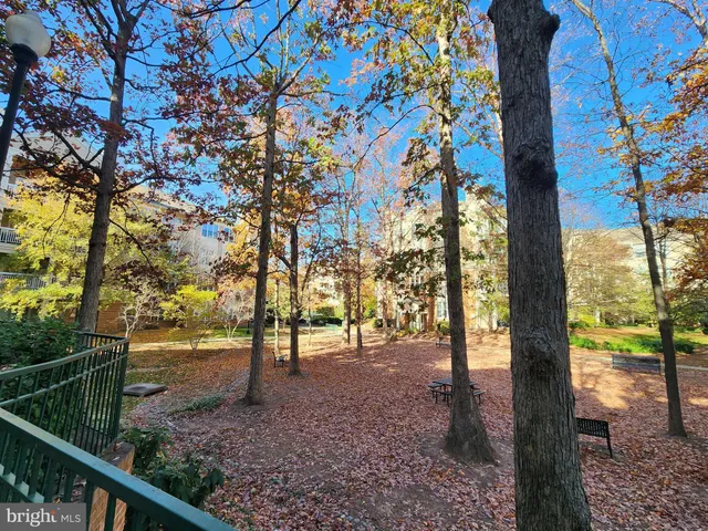 a view of a yard with plants and wooden fence