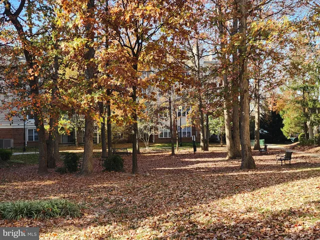 a view of outdoor space with trees