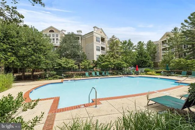 a view of a swimming pool with a yard and plants