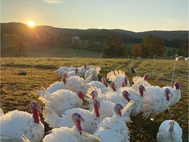 $3,350,000 | 183-344 Morrie Road, Washington, VT 05675