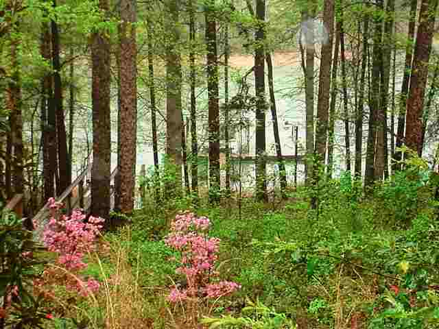 351 La-z- Acres Road Westminster, SC 29693 - Photo 5 of 5 Gallery Image 5