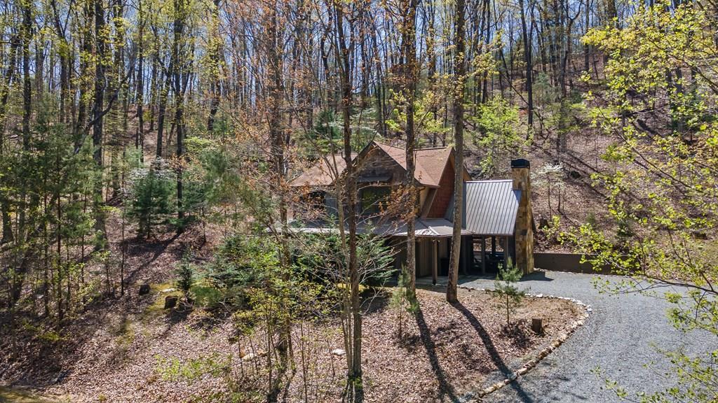 455 Shepherds Walk Morganton, GA 30560 - Photo 3 of 46 Gallery Image 3